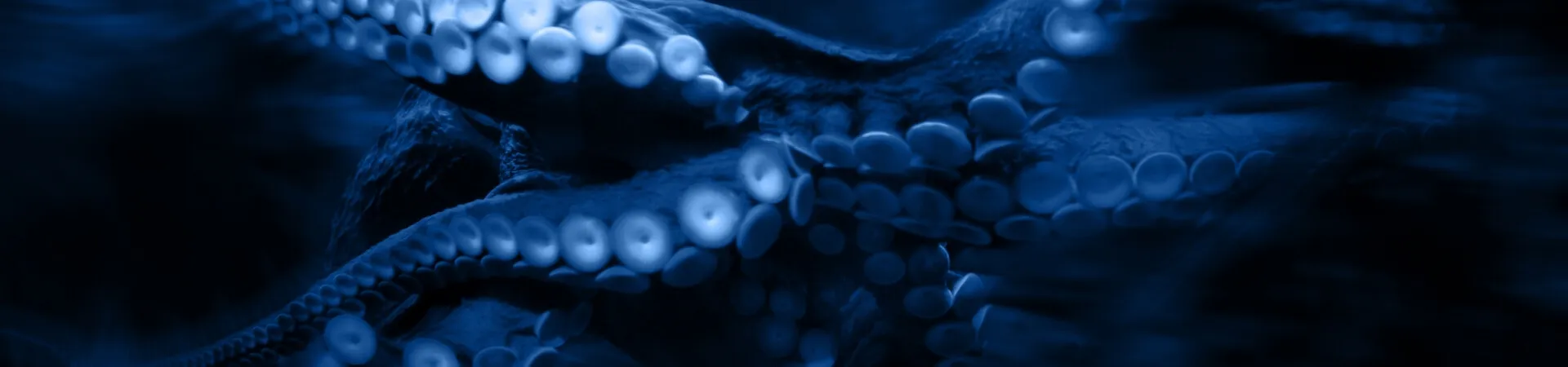 Datenschutz - Hintergrund-Bild