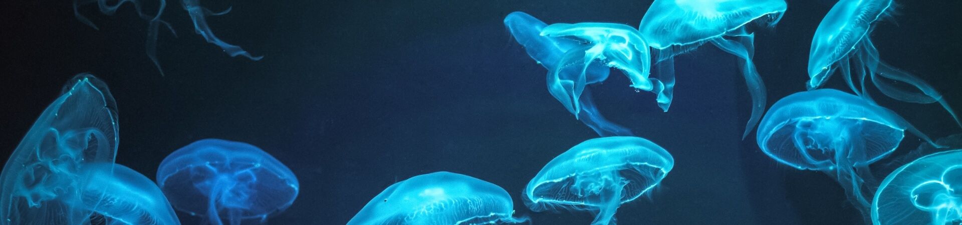 Impressum - Hintergrund-Bild